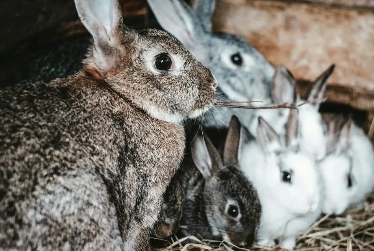 Een brand bracht onze buren naar het huis van Violet en Jim, maar in de kelder ontdekte ze een schokkend geheim — een beproeving voor vertrouwen, liefde en evenwicht in hun ogenschijnlijk rustige huwelijk.