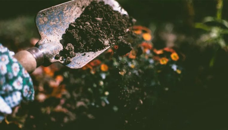 Mijn toekomstige schoonzus heeft mijn tuin verpest voor haar bruiloft – mijn huwelijkscadeau maakte haar sprakeloos