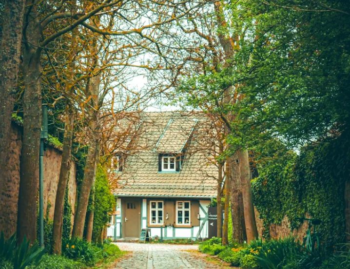Mijn zus zette me het huis van oma uit, dat ze had geërfd – maar ze had geen idee van oma’s geheim.