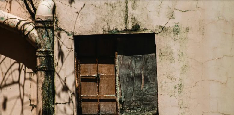 De hele familie kreeg geld, juwelen en aandelen – en ik kreeg een oude, verlaten boerderij. Maar juist daar, tussen stof en stilte, ontdekte ik het geheim dat mijn grootvader tot het einde had bewaard – en het echte geschenk dat alleen voor mij bedoeld was.