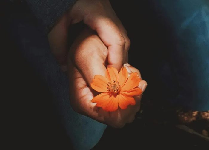 We adopteerden een meisje van 4 jaar – een maand later kwam ze naar me toe en zei: “Mama, vertrouw papa niet”.