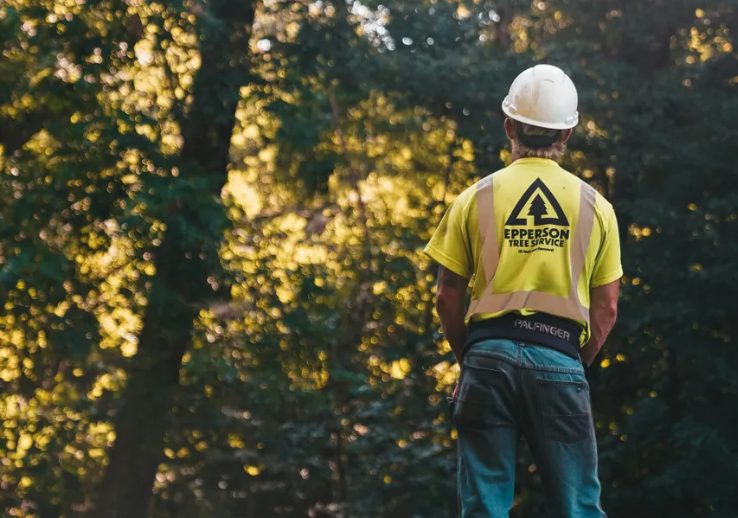 Mijn buren wilden zonlicht voor hun jacuzzi, dus kapten ze de vijftig jaar oude appelboom van mijn grootouders – Ze kregen meteen spijt