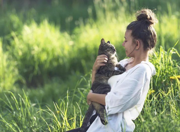Hij verloor alles, maar klampte zich vast aan de kat die zijn kinderen hadden genoemd – Totdat mijn vriend hem op een avond bewusteloos vond.