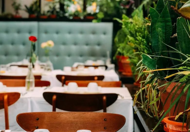 Mijn echtgenoot en zijn moeder zetten mij uit een restaurant tijdens ons jubileumdiner – Toen hoorde ik een stem achter mij: “Elizabeth? Ben jij dat?”