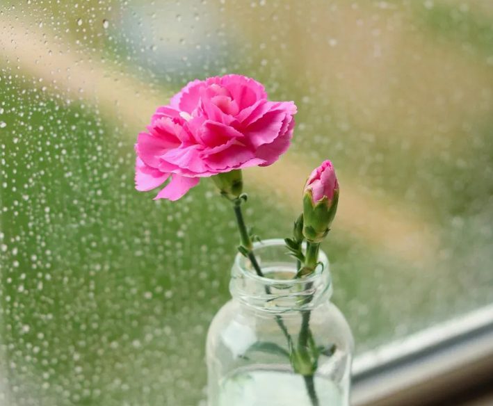 Mijn man veroorzaakte mijn handicap en daarna gooide hij me uit huis omdat hij zijn leven niet wilde "verpesten" door voor mij te zorgen – Karma leerde hem een les voordat ik dat kon doen.