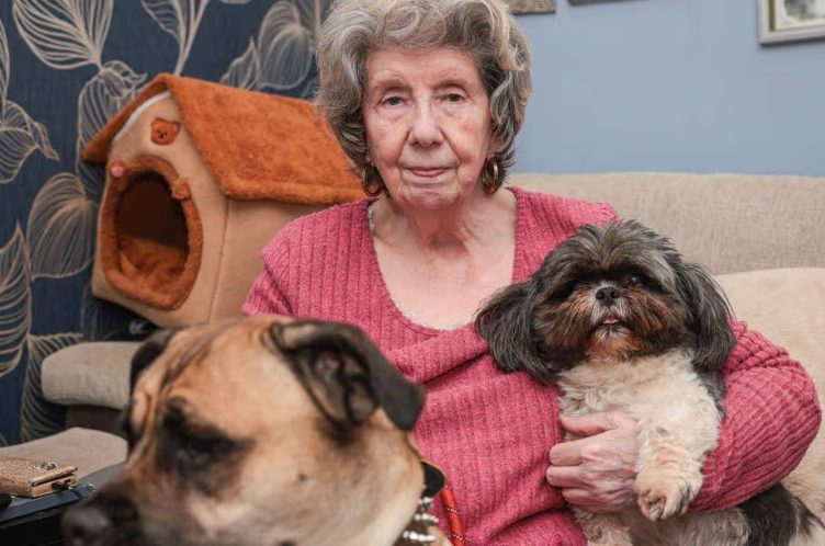 Mijn buurvrouw noemde mijn asielhonden ‘walgelijk’ en zei dat ik van ze af moest – Ik ben 75 jaar oud en zij leerde al snel een les