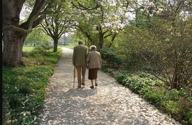 Een 80-jarige man vindt zijn middelbareschoolliefde terug – Hij vraagt haar ten huwelijk na 60 jaar van scheiding