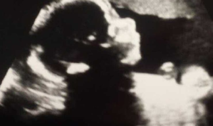 Met tranen in haar ogen zei ze: „Zeg haar dat ik van haar hou. Zeg haar dat ik haar niet ter adoptie heb afgestaan omdat ik haar niet wilde”: moeder van vijf vertelt over haar ontroerende open adoptie – „We zullen haar altijd dankbaar zijn voor haar zelfopofferende liefde”